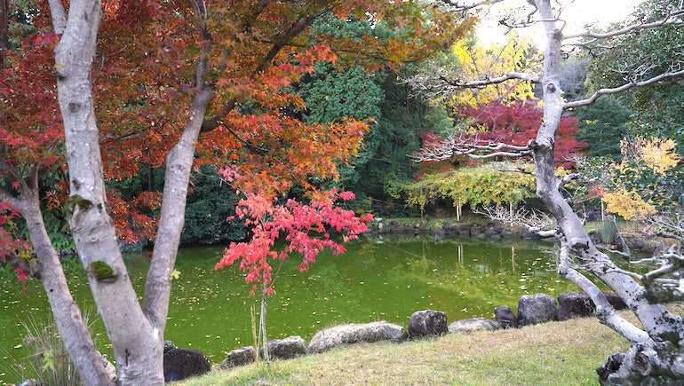 心・体・ぽっかぽか。冬の癒しを『12/6あきば大祭』で