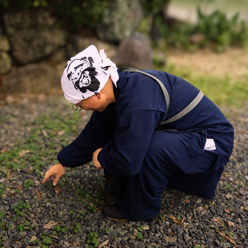笑うダルマさん《手捺染手拭い》